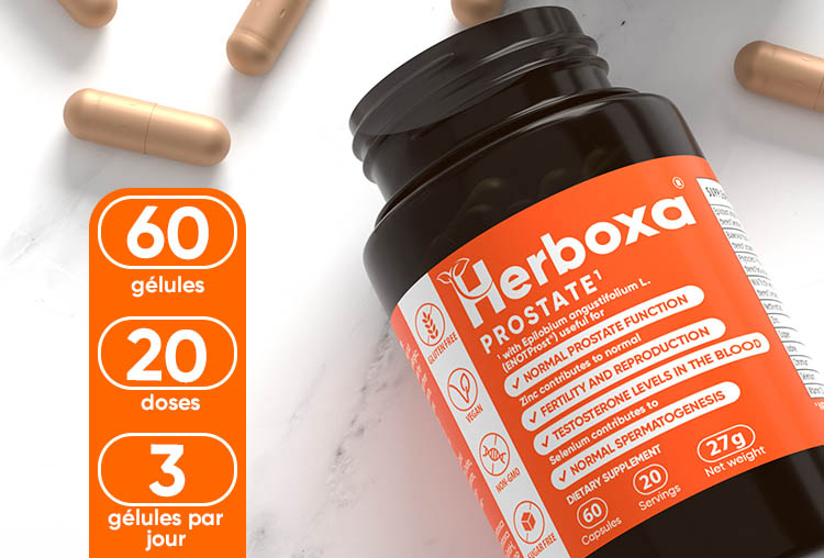 HERBOXA PROSTATE | 60 gélules