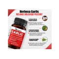 Herboxa Garlic | Complément alimentaire pour le Coeur Herboxa Garlic | Complément alimentaire pour le Coeur